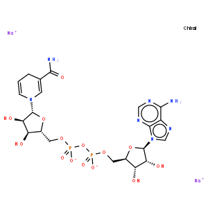 β-烟酰胺腺嘌呤二核苷酸