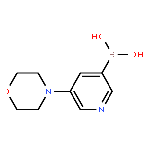 5-吗啉基吡啶-3-硼酸