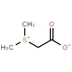 乙酰胺,N-(3-甲基苯基)-2-溴-