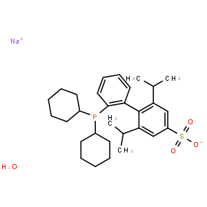 2'-二环己基膦基-2,6-二-I-丙基-4-磺酸根-1,1'-联苯钠水合物