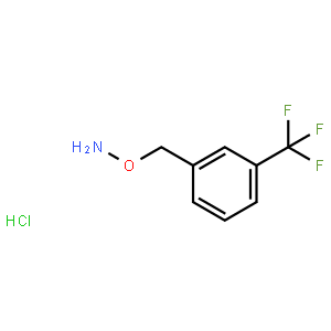 1-[(氨基氧基)甲基]-3-(三氟甲基)苯氯