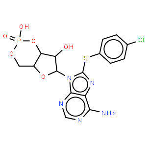 L-苯丙氨酸甲酯盐酸盐