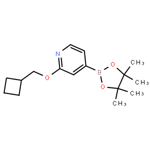 2-(Cyclobutylmethoxy)-4-(4,4,5,5-tetramethyl-1,3,2-dioxaborolan-2-yl)pyridine