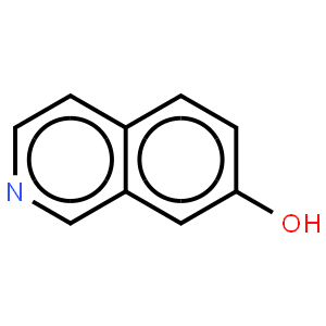 7-羟基异喹啉