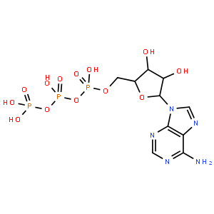 腺苷-5'-三磷酸