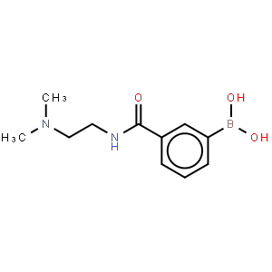 3-(2-(二甲基氨基)乙基氨甲酰基)苯基硼酸