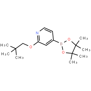 2-(Neopentyloxy)-4-(4,4,5,5-tetramethyl-1,3,2-dioxaborolan-2-yl)pyridine