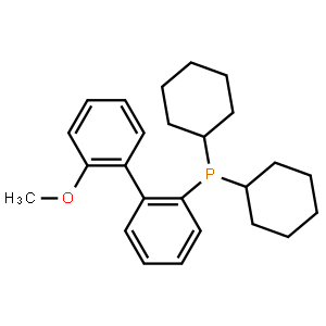 2-二环已基膦-2’-甲氧基联苯