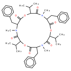白僵菌素, 来源于白僵菌
