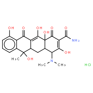 盐酸四环素