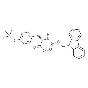 Fmoc-O-叔丁基-L-酪氨酸