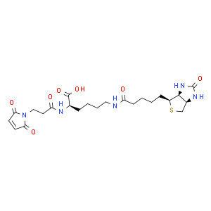N-(3-马来酰亚胺基丙酰基)生物胞素