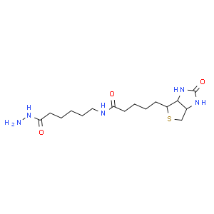 N''-生物素基-6-氨基己酰肼