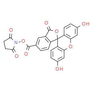 5-羧基荧光素琥珀酰亚胺酯