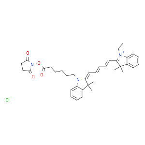 Cy5 活性酯