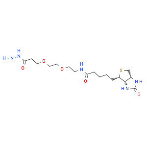 生物素-PEG2-酰肼