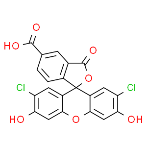 5(6)-羧基-2`,7`-二氯荧光素