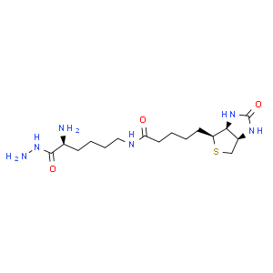 N-生物素酰基-L-赖氨酸酰肼
