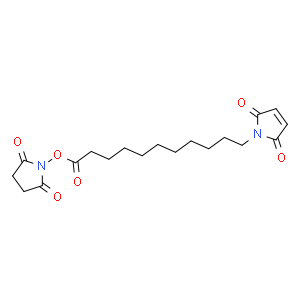 11-(马来酰亚胺基)十一烷酸琥珀酰亚胺酯