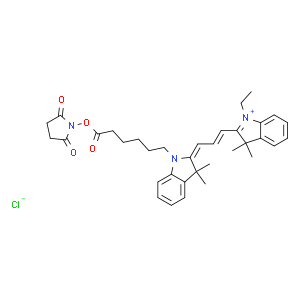 Cy3 活性酯