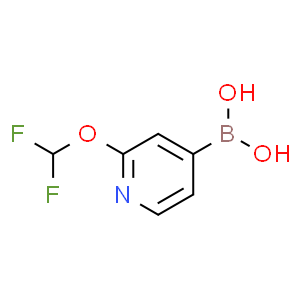 (2-(二氟甲氧基)吡啶-4-基)硼酸
