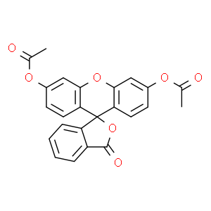 荧光素二乙酸酯