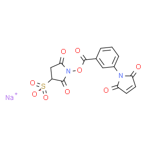 m-马来酰亚胺苯甲酸琥珀酰亚胺酯