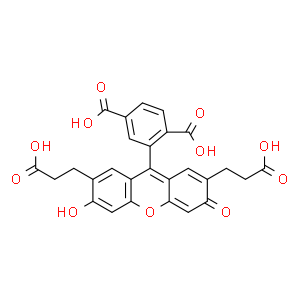 2`,7`-双(2-羧基乙基)-5(6)-羧基荧光素