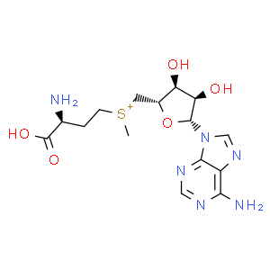 S-腺苷甲硫氨酸