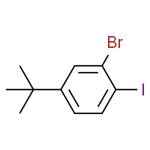 2-溴-4-(叔丁基)-1-碘苯