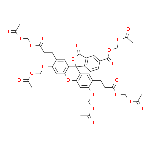 2`,7`-双(2-羧基乙基)-5(6)-羧基荧光素四(乙酰氧甲基)酯