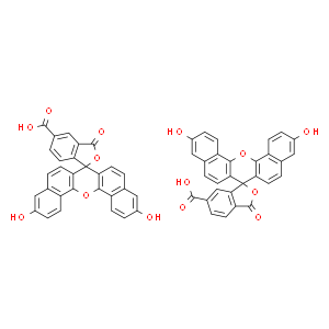 5(6)-羧基萘基荧光素