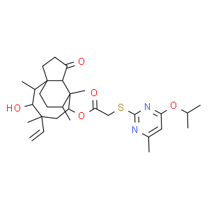 蛋白胨/Peptone