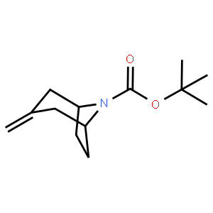 3-methylene-8-boc-8-azabicyclo[3.2.1]octane