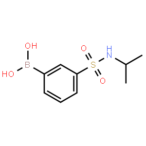 N-Isopropyl 3-boronobenzenesulfonamide