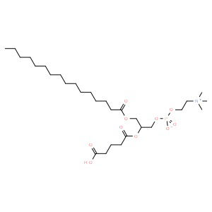 1-palmitoyl-2-glutaryl-sn-glycero-3-phosphocholine