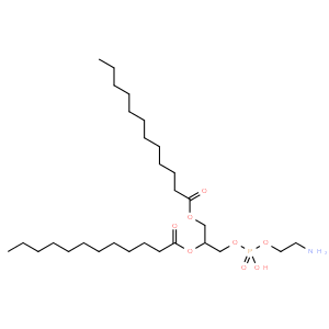 1,2-dilauroyl-sn-glycero-3-phosphoethanolamine