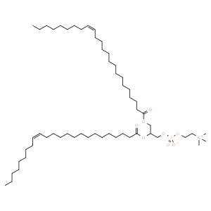 1,2-dinervonoyl-sn-glycero-3-phosphocholine
