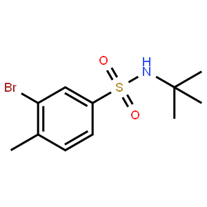 N-t-Butyl 3-bromo-4-methylbenzenesulfonamide