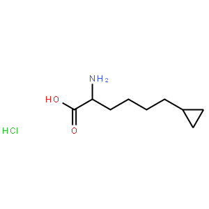 (S)-2-amino-6-cyclopropylhexanoicacid  HCl