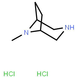 8-methyl-3,8-diazabicyclo[3.2.1]octane dihydrochloride