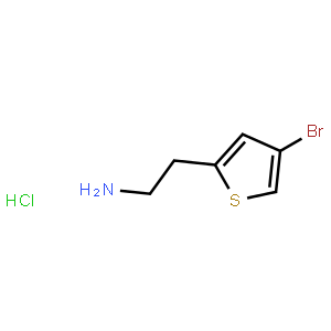 2-(4-Bromo-thiophen-2-yl)-ethylamine hydrochloride