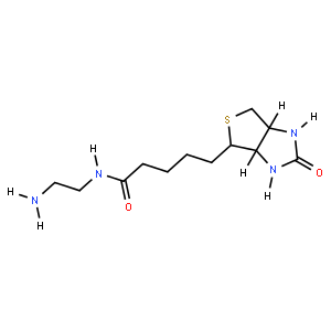 N-(2-Aminoethyl)biotinamide,111790-37-5