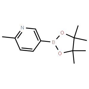 2-methyl-5-(tetramethyl-1,3,2-dioxaborolan-2-yl)pyridine