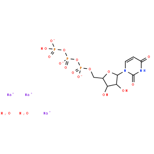 尿苷-5′-三磷酸酯三钠盐二水合物
