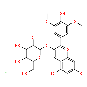 Oenin Chloride