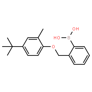 2-[(4′-叔丁基-2′-甲基苯氧基)甲基]苯基硼酸