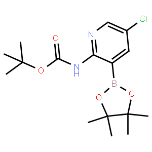 2-tert-Butyloxycarbonylamino-5-chloropyridine-3-boronicacidpinacolester