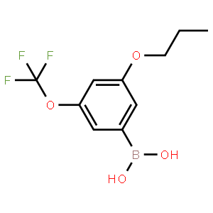 3-Propoxy-5-(trifluoromethoxy)phenylboronic acid