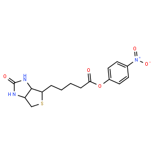 (+)-生物素4-硝基苯酯
